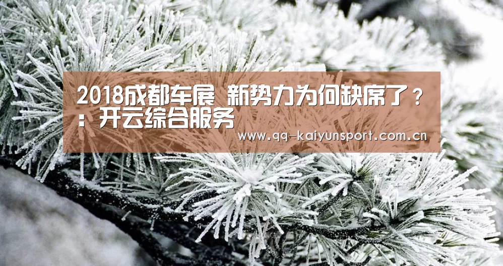 2018成都车展 新势力为何缺席了?:开云综合服务(图1) 开云综合服务